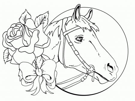 wild horse. free printable horse coloring pages girls coloring ...