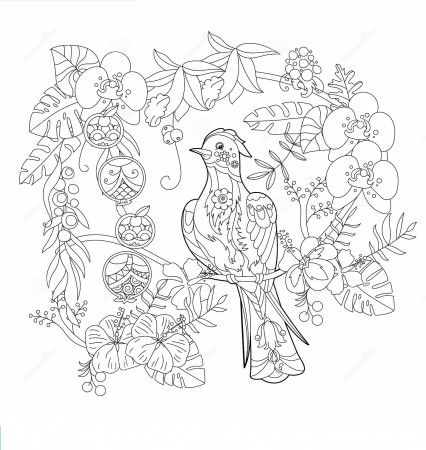 Nice Bird Of Paradise For Kids Coloring Pages - Coloring Cool