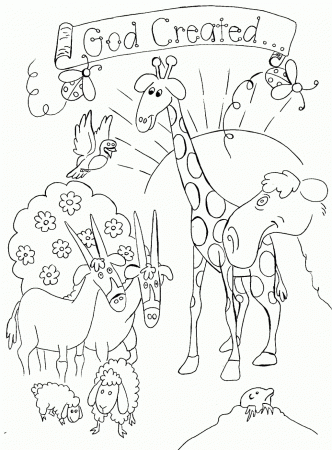 Creation Coloring Pages For Preschoolers Bible Story Coloring Free ...