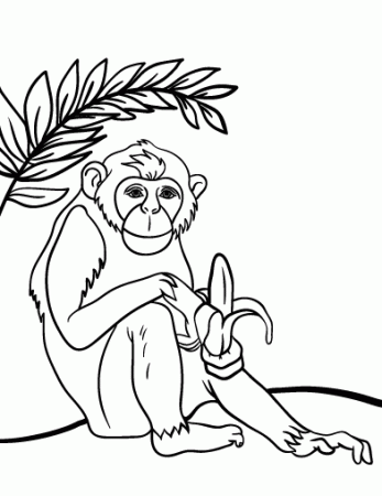 Free Chimpanzee Coloring Page