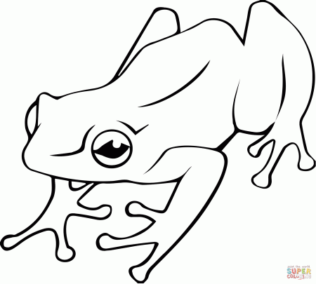 Poison Dart Frog coloring page | Free Printable Coloring Pages