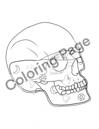Skull Container Coloring Page - Etsy