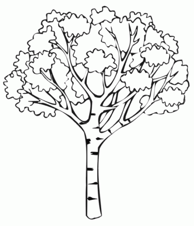 Coloring Pages Of Mango Trees - ClipArt Best