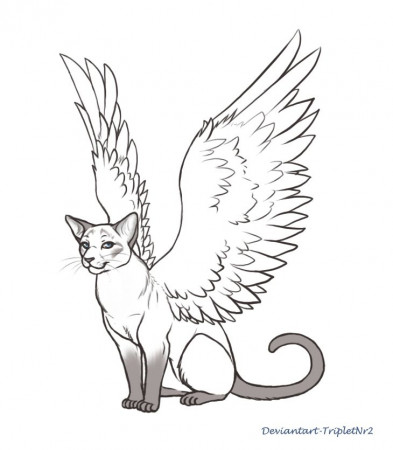 Commish-Siamese Angel | Cat coloring ...