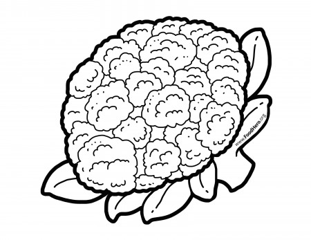 Cauliflower. Illustration found at foodhero.org. #bullentinboards  #schoolart #blackline | Coloring pages, Fruit coloring pages, Vegetable coloring  pages