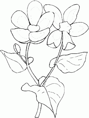 Flower coloring pages - Marigold coloring page. Flower coloring sheets &  spring & summer flower coloring book pages