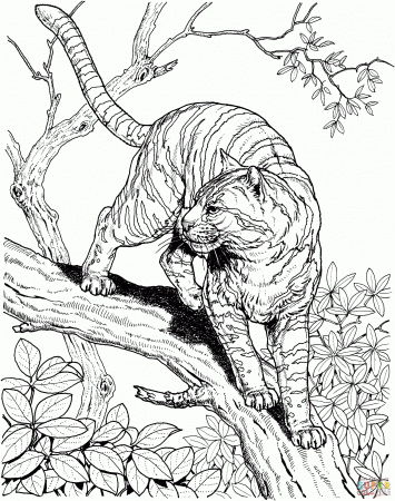Realistic Jungle Animal Coloring Pages - Free Resume Templates ...