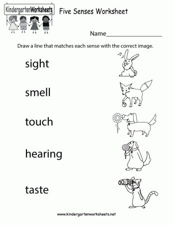 7 Best Images of 5 Senses Preschool Printables - Five Senses ...