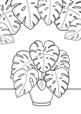 Premium Vector | Monstera home plants indoor coloring pages a4 for kids and  adult