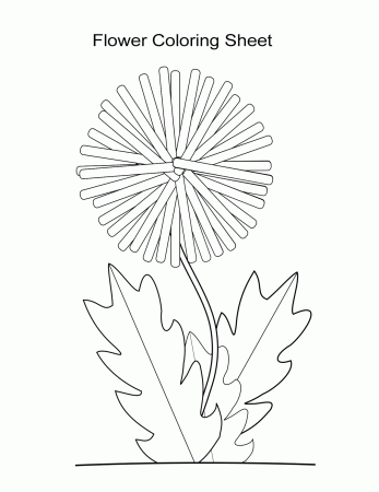 10 Flower Coloring Sheets for Girls and Boys - ALL ESL