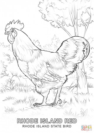 Rhode Island State Bird coloring page | Free Printable Coloring Pages