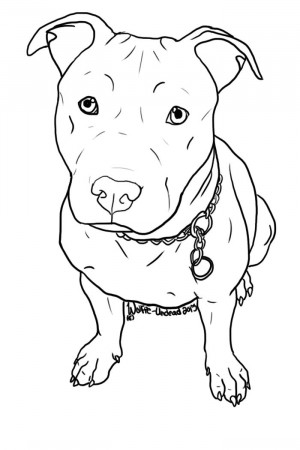 Pitbull Coloring Pages PDF - Coloringfile.com