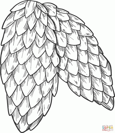 Pine Cones coloring page | Free Printable Coloring Pages