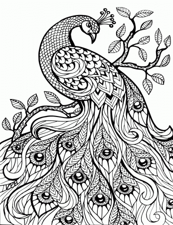 Free Printable Adult Coloring Pages - mybissim