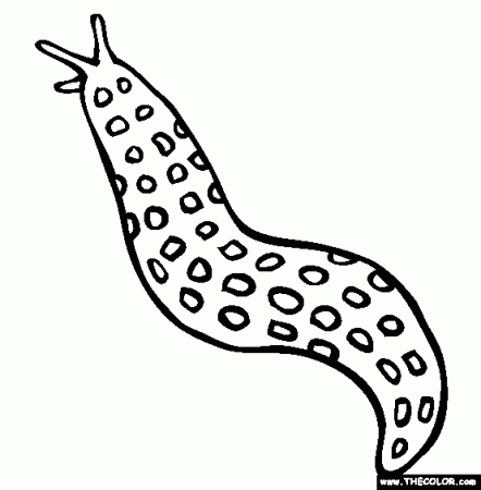 Slug Coloring Page | Free Slug Online Coloring | Coloring pages, Insect coloring  pages, Online coloring