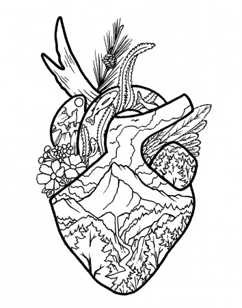 coloring pages : Coloring Pagesvanced Picture Inspirations Wild At Heart  Million Tiny Lines Of Animals Cute 62 Advanced Coloring Pages Picture  Inspirations ~ mommaonamissioninc