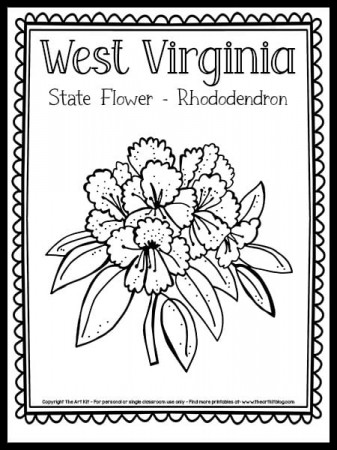 West Virginia State Flower Coloring Page (Rhododendron!) {FREE Printable!}  - The Art Kit