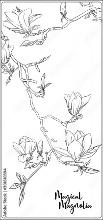 Magnolia tree branch with flowers. Coloring page for the adult coloring book.  Outline hand drawing vector illustration.. Stock Vector | Adobe Stock