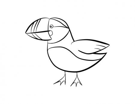Puffin coloring page | ColorDad