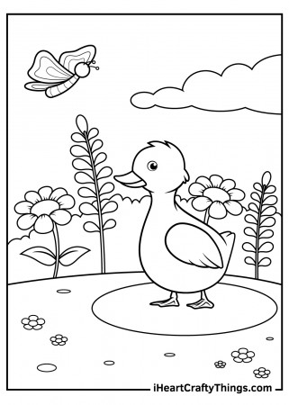 Duck Coloring Pages (Updated 2023)