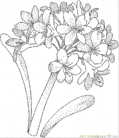 Hydrangea 1 Coloring Page for Kids - Free Flowers Printable Coloring Pages  Online for Kids - ColoringPages101.com | Coloring Pages for Kids