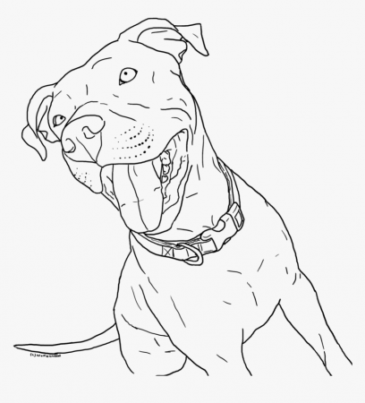 Pitbull Coloring Pages Little Coloring Page Pitbull - Realistic Pitbull  Coloring Pages, HD Png Download - kindpng