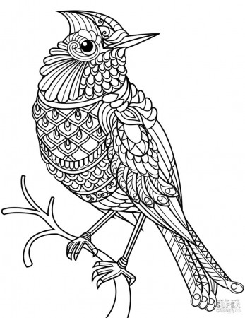 Get This Adult Coloring Pages Animals Bird 2 !