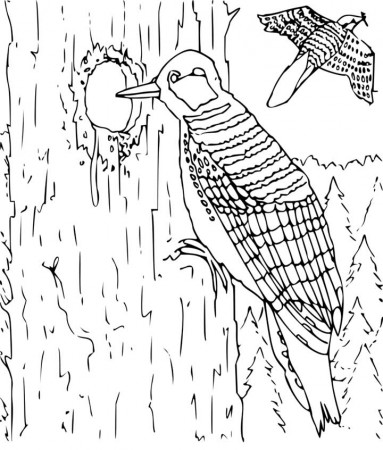 8 Pics of Large Hard Animal Coloring Pages - Hard Coloring Pages ...