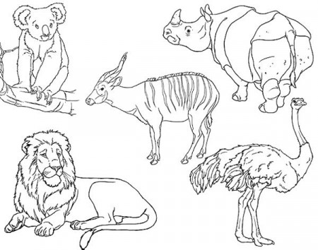 Coloring Pages - Los Angeles Zoo and Botanical Gardens | Zoo animal  coloring pages, Zoo coloring pages, Lion coloring pages