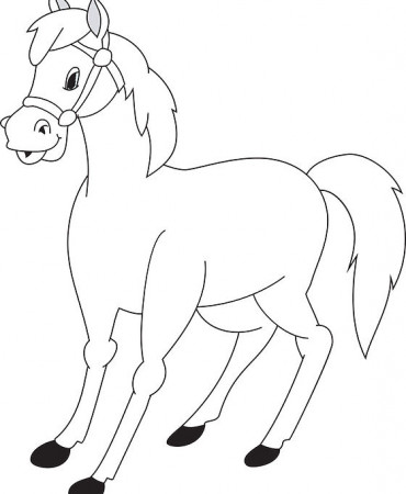 Coloring Pages | STABLE COMPANIONS