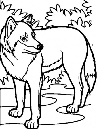Print Wolf Pack Team Coloring Pages Printable Realistic Printable ...