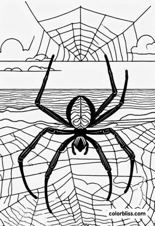 46 Spider Coloring Pages | ColorBliss