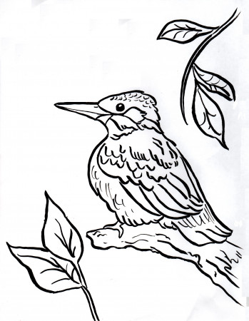 Kingfisher Coloring Page - Art Starts