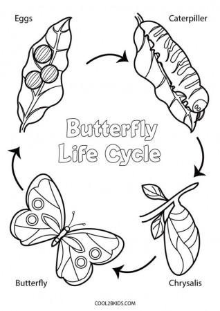 Pin on Butterfly coloring page