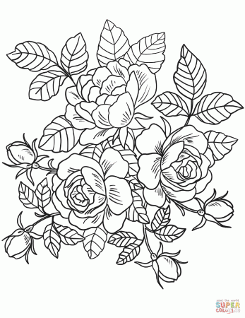Roses Flowers coloring page | Free Printable Coloring Pages
