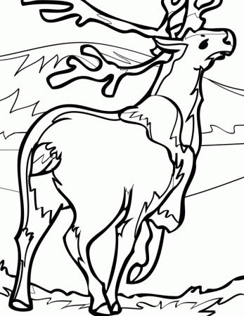 Caribou coloring page - Animals Town - Animal color sheets Caribou picture