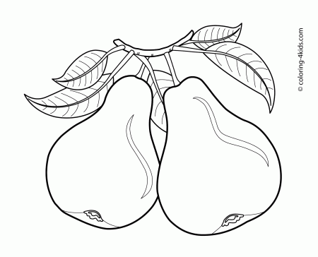 Pears fruits coloring pages for kids, printable free | Fruit coloring pages,  Coloring pages, Coloring pages for kids