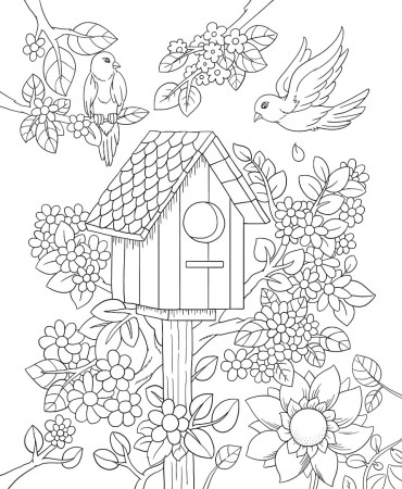 Freebie Friday Birdhouse Adult Coloring ...colorit.com