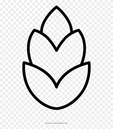 Pine Cone Coloring Page - Line Art - Free Transparent PNG Clipart Images  Download
