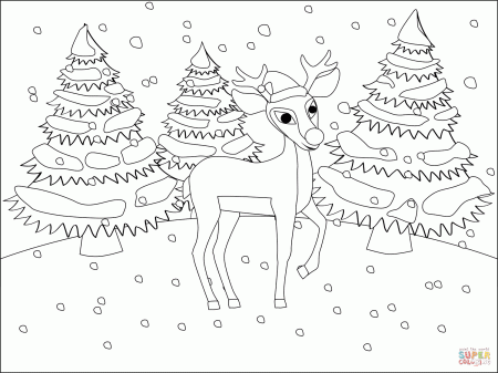 Red Nosed Christmas Reindeer Rudolph coloring page | Free Printable  Coloring Pages