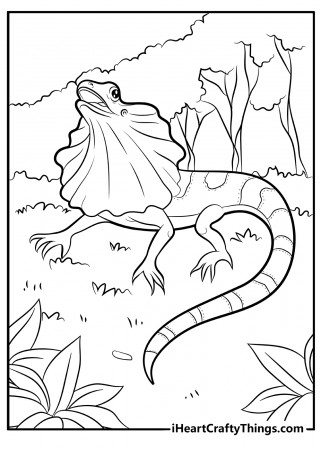 Printable Lizard Coloring Pages (Updated 2022)