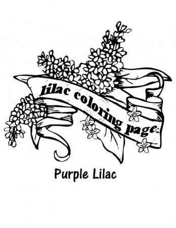 Lilac Flower From New Hampshire Coloring Page