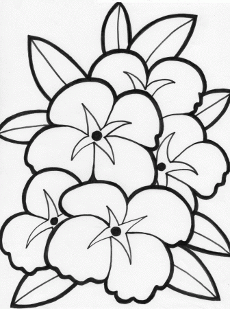 Beautiful Hawaiian Flower Coloring Pages - Coloring Pages For All Ages