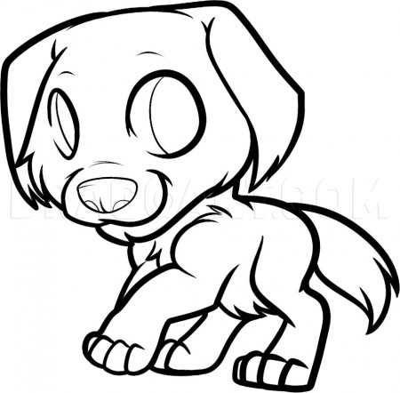 How to Draw a Golden Retriever Puppy, Golden Retriever, Coloring Page,  Trace Drawing