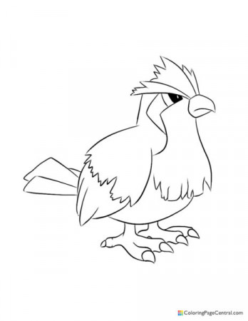 Pidgeotto | Coloring Page Central