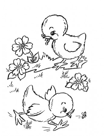 4 Chicken Coloring Pages! - The Graphics Fairy