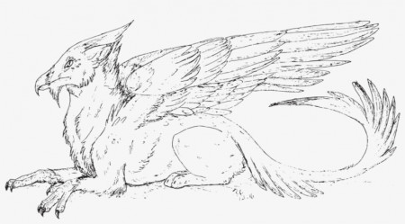 Jpg Free Download Chimera Drawing Griffin - Griffin Pictures To Color -  1024x518 PNG Download - PNGkit