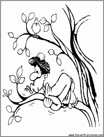 Zacchaeus Coloring Pages Cool - Coloring pages