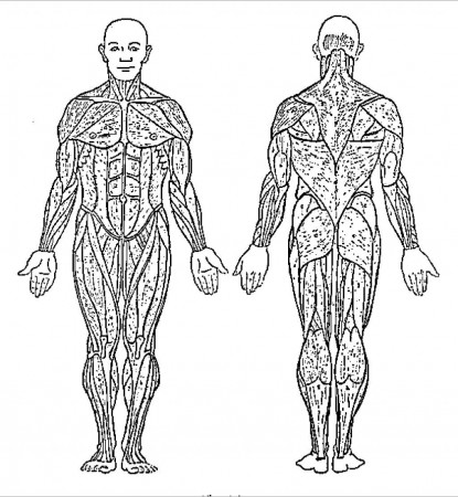 Coloring Page Of A Male Body - Coloring Pages For All Ages