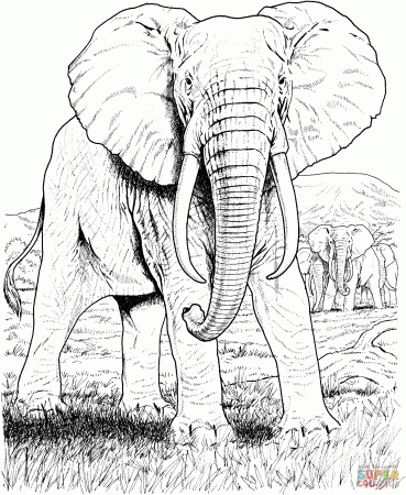 African animals coloring pages | Free Printable Pictures